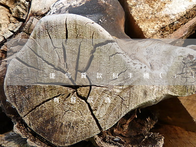 捷信貸款和手機(jī)分期付款(捷信分期有貸款嗎)