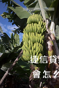 捷信貸款四萬三年沒還了(捷信貸款三年沒還會怎么樣)