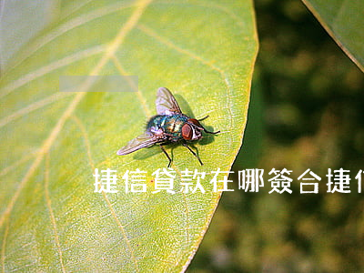 捷信貸款在哪簽合(捷信金融貸款怎么還款)