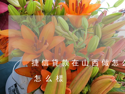 捷信貸款在山西做怎么樣(捷信貸款在山西做怎么樣)