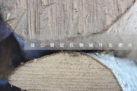 捷信貸款在聊城什么地方(捷信貸款電話是多少)