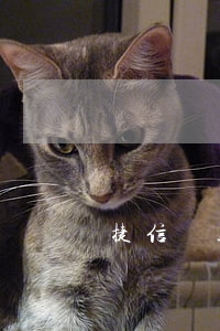 捷信貸款在重慶什么地方(重慶捷信貸款公司電話)