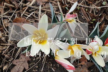 捷信貸款多久到賬(捷信貸款還清以后多久可以再次申請(qǐng))