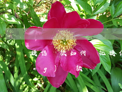 捷信貸款如何審批(捷信自己怎么申請(qǐng)貸款)
