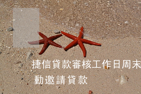 捷信貸款審核工作日周末(捷信什么時候有活動邀請貸款)