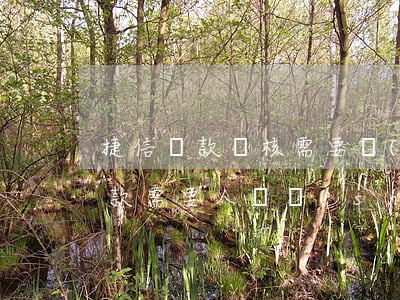 捷信貸款審核需要過(guò)臉嗎(捷信貸款需要人臉識(shí)別嗎)