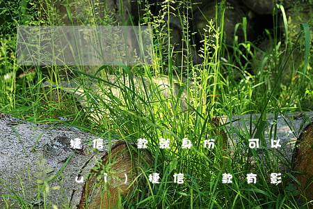 捷信貸款就身份證可以嗎(身份證過期對(duì)捷信貸款有影響嗎)