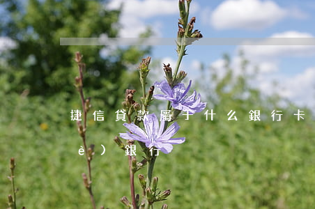 捷信貸款屬于什么銀行卡(捷信屬于哪個(gè)銀行)