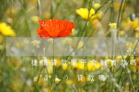 捷信貸款屬于金融貸款嗎(捷信金融是正規(guī)貸款嗎)