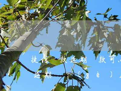捷信貸款延期還款可以嗎(捷信延期還款可以延期幾個(gè)月)