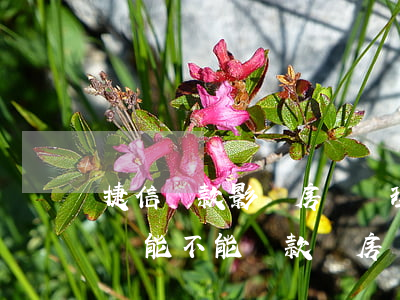 捷信貸款影響房貸辦理嗎(在捷信金融貸款了還能不能貸款買房)