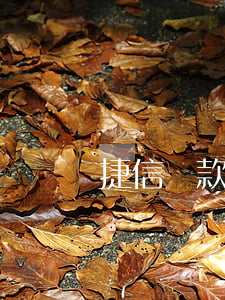 捷信貸款影響辦信用卡嗎(捷信影響銀行貸款嗎)