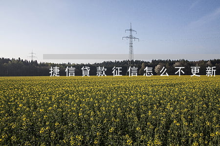 捷信貸款征信怎么不更新(捷信根本不上征信)