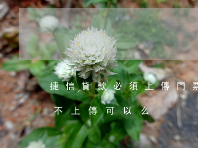 捷信貸款必須上傳門票嗎(捷信貸款消費憑證不上傳可以么)