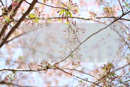 捷信貸款快一個月沒下款(捷信貸款兩千塊沒還會怎么樣)