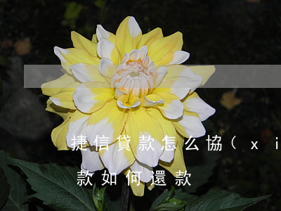 捷信貸款怎么協(xié)商還本金(捷信貸款如何還款)