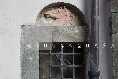捷信貸款怎么查詢欠多少(捷信貸款號碼是多少)