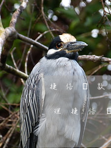 捷信貸款怎么樣1717(捷信貸款怎么樣辦理捷信貸款要求有哪些)