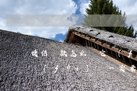 捷信貸款怎么給它發(fā)憑證(捷信的消費(fèi)貸一定要上傳消費(fèi)憑證嗎)