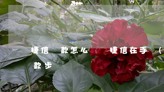 捷信貸款怎么貸錢(捷信在手機(jī)上貸款步驟)