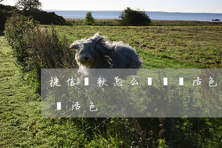捷信貸款怎么購買靈活包(捷信貸款怎么購買靈活包)