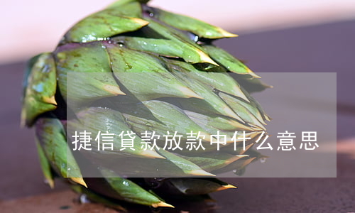 捷信貸款放款中什么意思