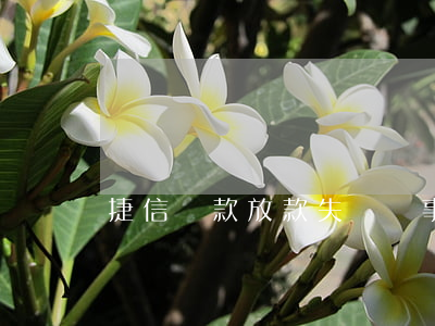 捷信貸款放款失敗沒事吧(捷信放款成功沒到賬)