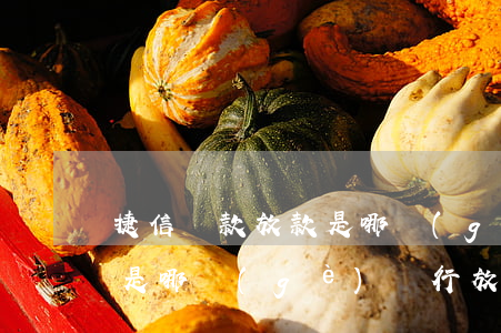 捷信貸款放款是哪個(gè)銀行(捷信金融是哪個(gè)銀行放款)
