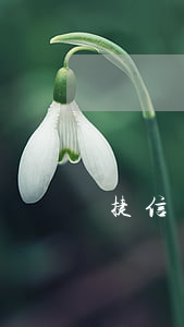 捷信貸款旗下有來分期嗎(捷信分期合法嗎)