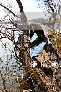 捷信貸款是什么銀行放款(捷信金融怎么貸款?)