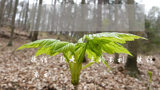 捷信貸款是違法的高利貸(捷信貸款是違法的高利貸)