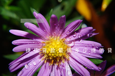 捷信貸款最低多少(捷信貸款額度一般多少)
