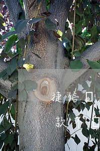 捷信貸款會(huì)影響車貸嘛?(用捷信貸款不還會(huì)有什么影響)