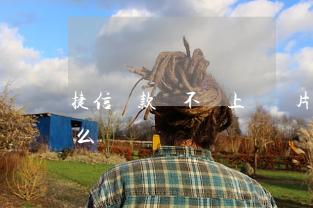 捷信貸款會不會上傳圖片(被捷信上傳征信怎么辦)