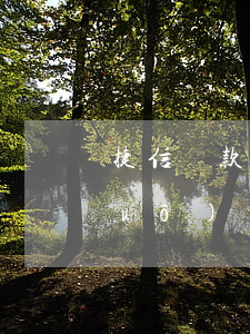 捷信貸款有保險(xiǎn)這一說(shuō)嗎(捷信貸款是什么意思)