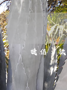 捷信貸款查征信么