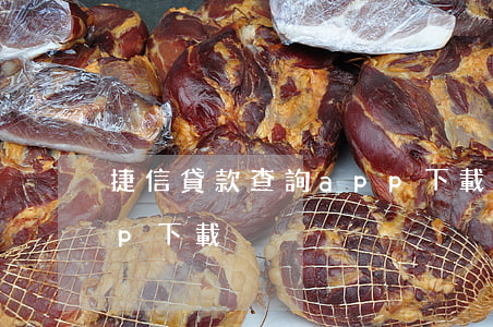 捷信貸款查詢app下載(捷信金融貸款app下載)
