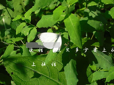 捷信貸款欠多少要上征信(捷信貸款欠多少要上征信)