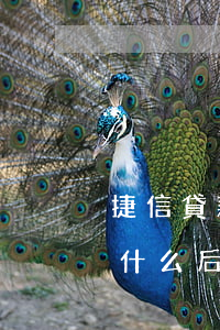 捷信貸款沒(méi)，捷信金融貸款不還有什么后果