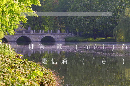 捷信貸款沒(méi)有發(fā)票怎么辦(捷信消費(fèi)貸消費(fèi)憑證沒(méi)有怎么辦不上傳)