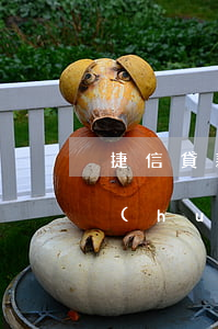 捷信貸款沒(méi)還會(huì)不會(huì)坐牢(捷信貸款沒(méi)還會(huì)不會(huì)坐牢)