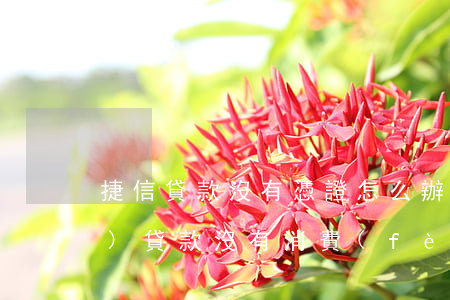 捷信貸款沒有憑證怎么辦(捷信消費(fèi)貸款沒有消費(fèi)憑證會怎樣)