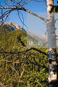 捷信貸款沒通過要等多久(捷信貸款幾個月沒還會怎么樣)