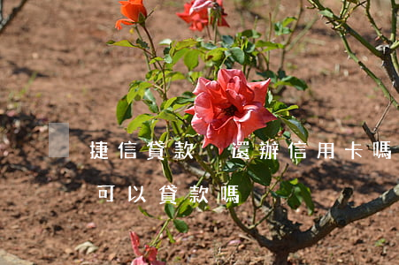 捷信貸款沒還辦信用卡嗎(捷信還沒有還完還可以貸款嗎)