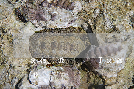 捷信貸款沒錢還了(捷信沒還完還能在銀行貸款嗎)