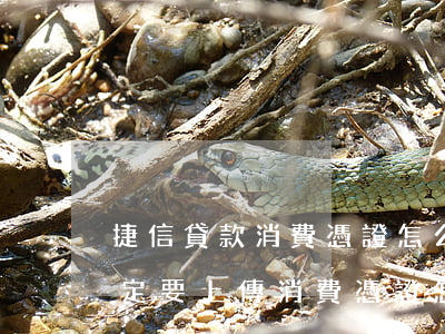 捷信貸款消費憑證怎么開(捷信貸款是不是一定要上傳消費憑證怎么樣)