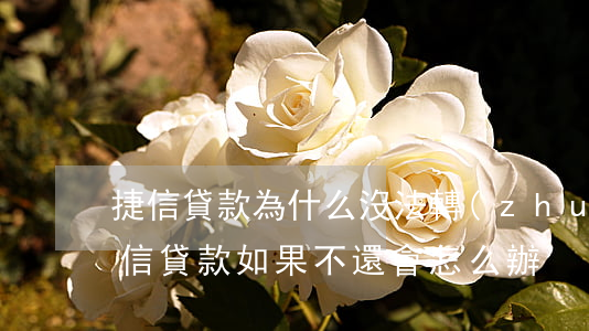 捷信貸款為什么沒法轉(zhuǎn)賬(捷信貸款如果不還會怎么辦)