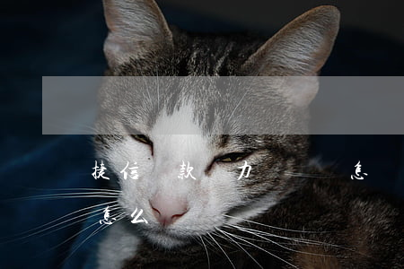 捷信貸款無力償還會怎樣(捷信貸款無力償還怎么辦)