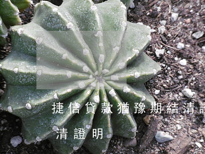 捷信貸款猶豫期結清證明(捷信貸款猶豫期結清證明)