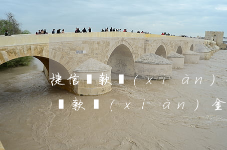 捷信貸款現(xiàn)金可以分幾期(捷信貸款現(xiàn)金可以分幾期)